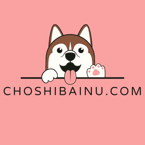 CHOSHIBAINU.COM